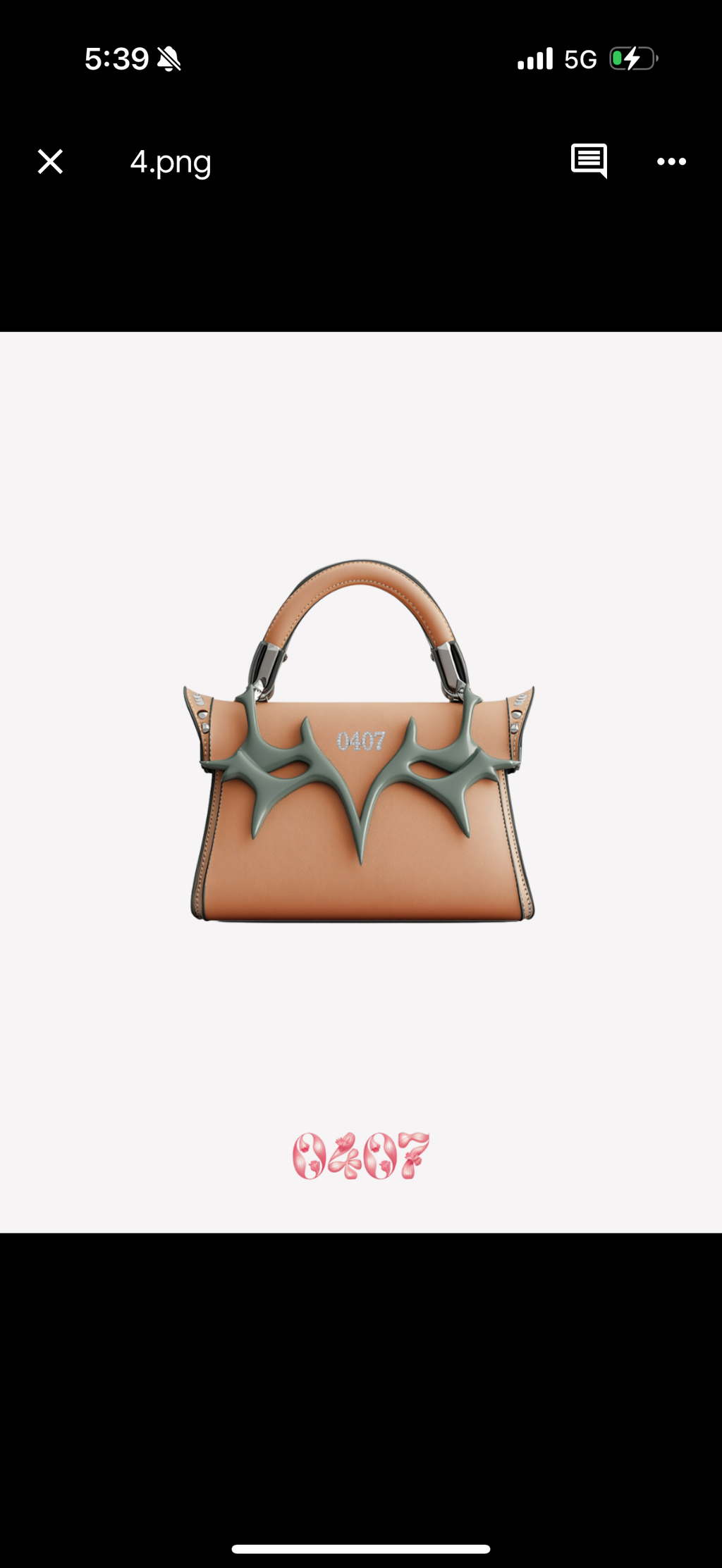 Handbag