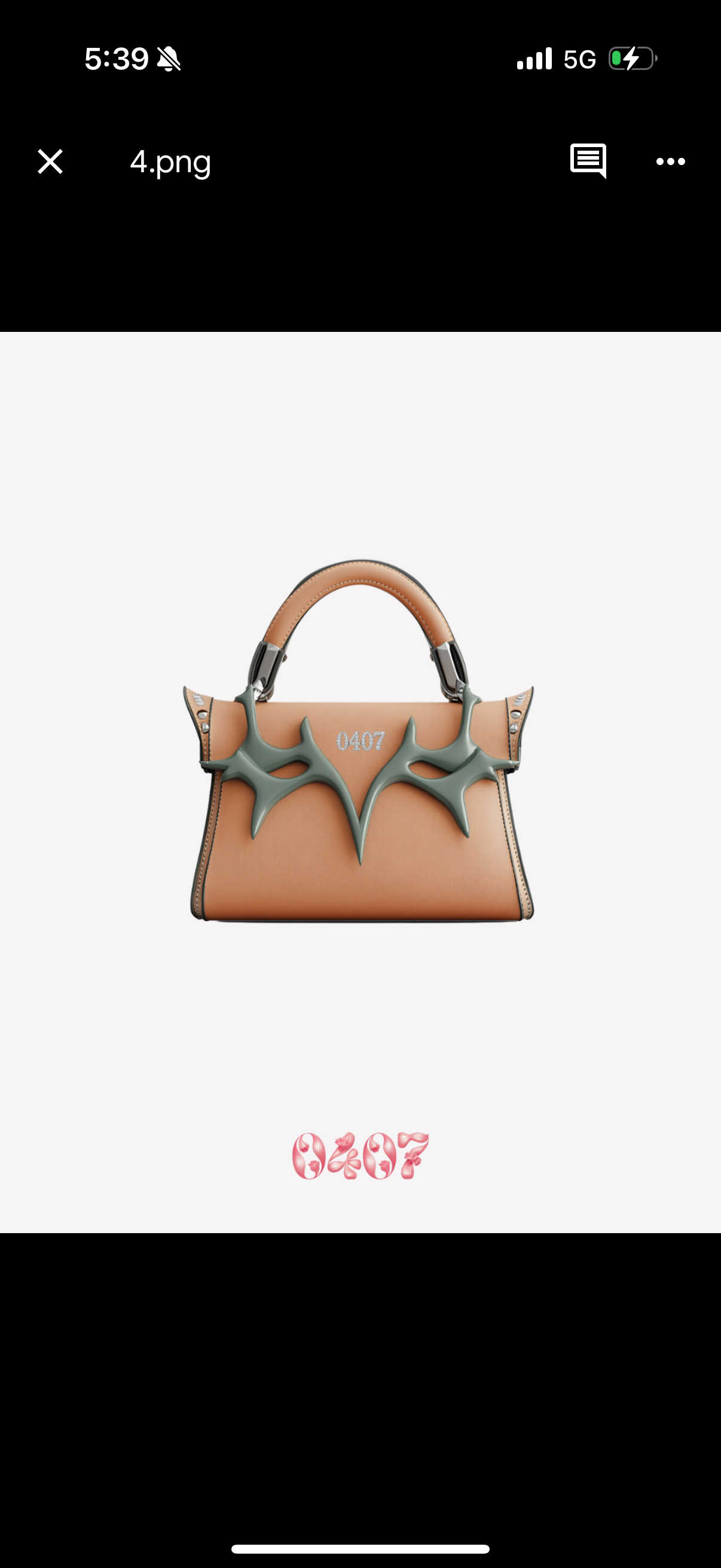 Handbag